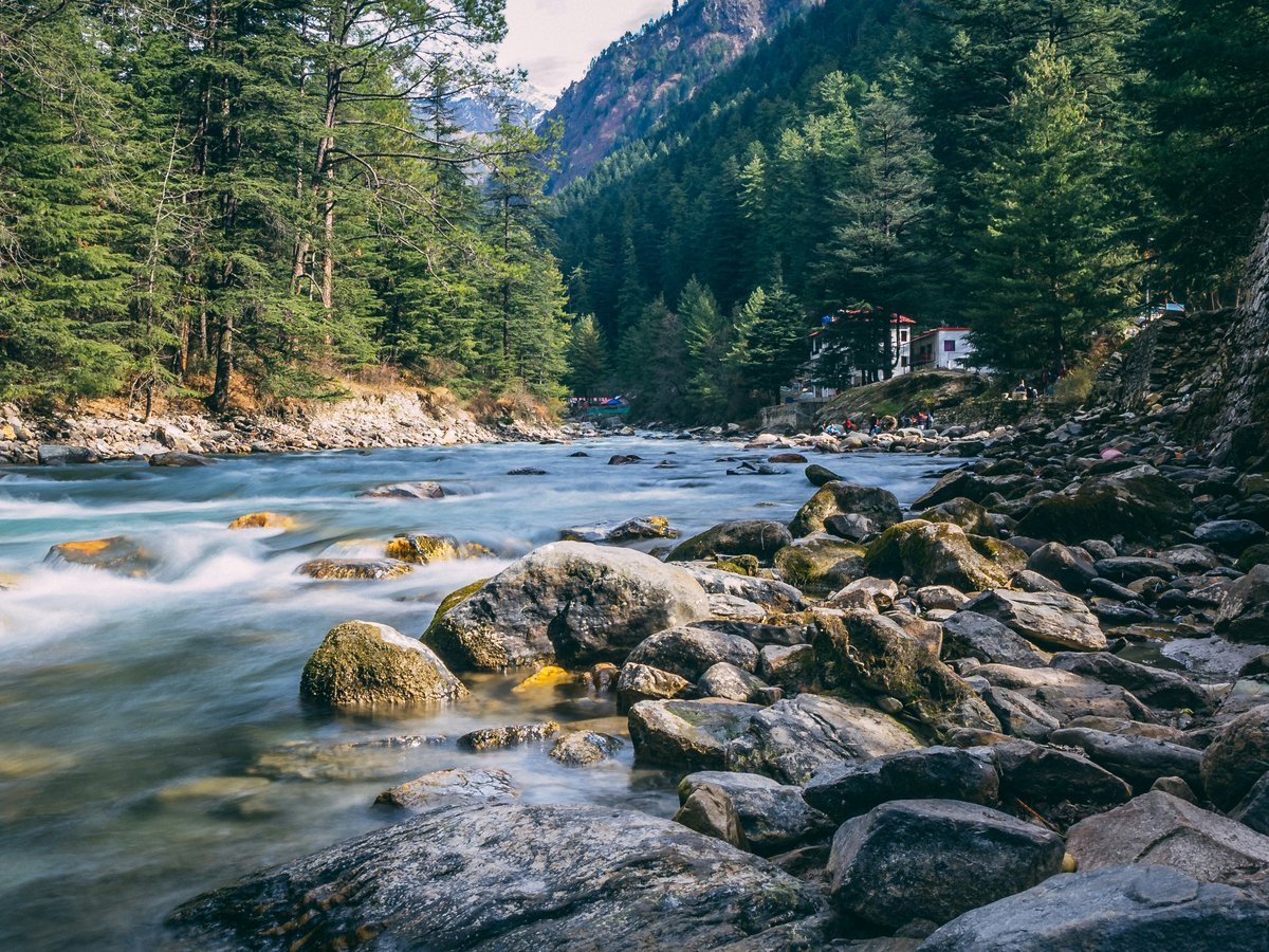 River & Forest Trails