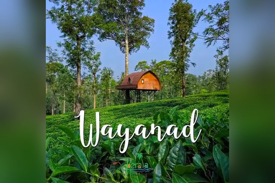 Explore Mysore - Coorg - Waynad - 6 Days
